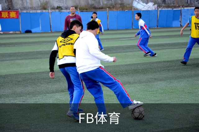 FB体育公司简介图片